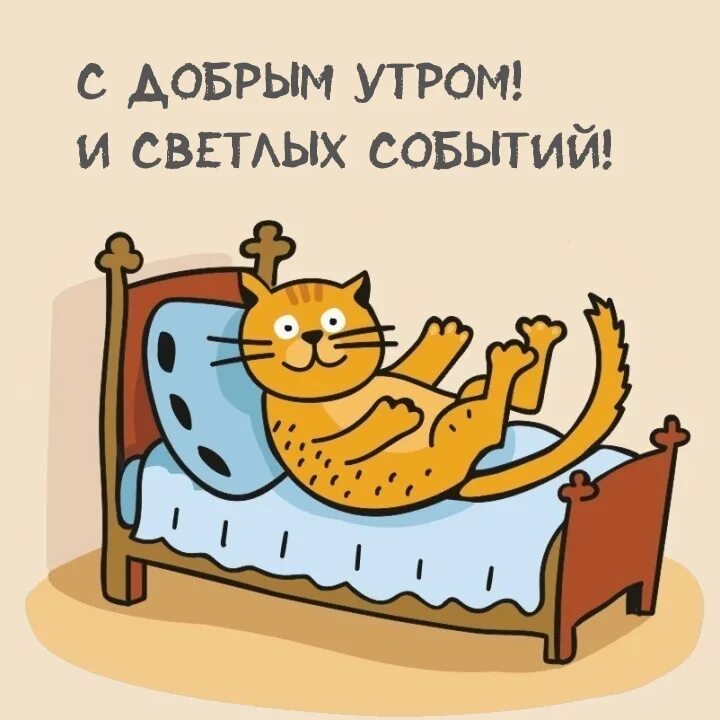 Проснулся утром смешно. Грегор замза котик. грегор замза превратился в котика. проснулась картинки прикольные. проснуться утром прикольные.