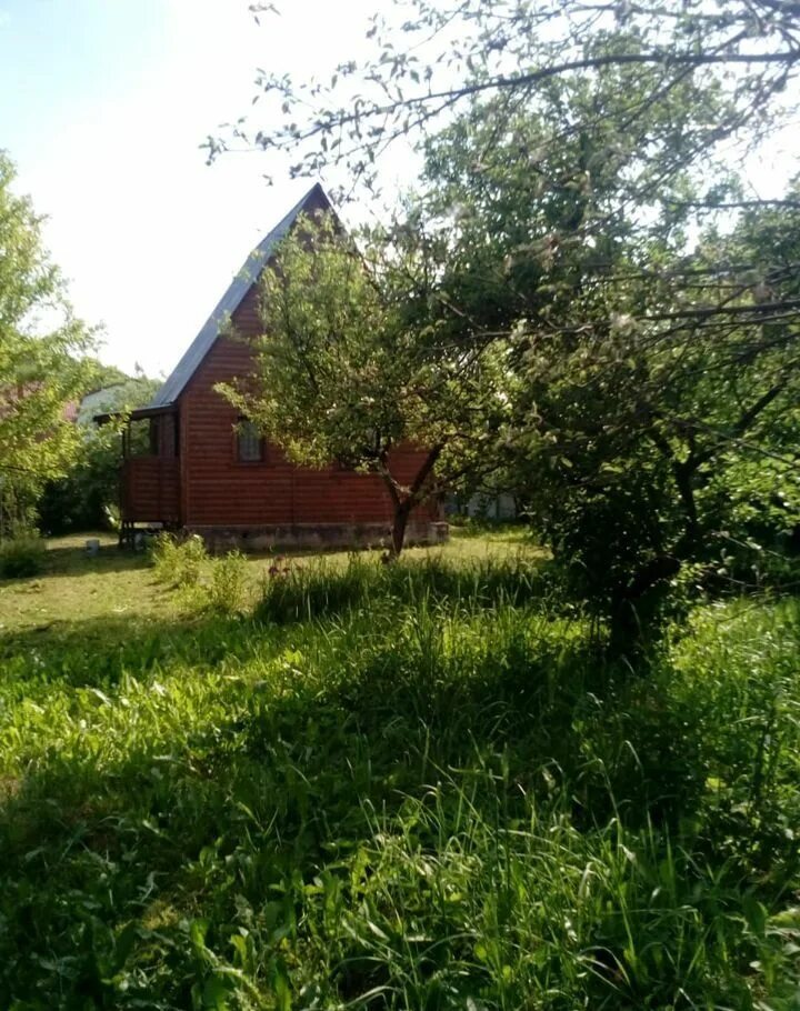 Снт василек климовск. Участок снт васильки. Участок снт васильки. Деревня васильки московская область климовск. Участок снт васильки.