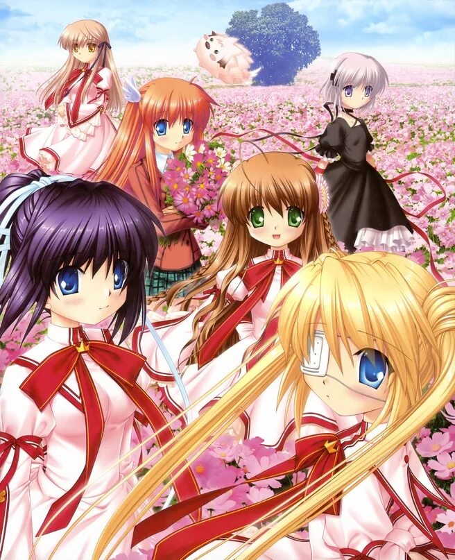 Перезапись документа. Перезапись новелла. rewrite новелла.