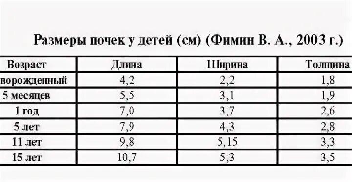 Размеры почек таблица