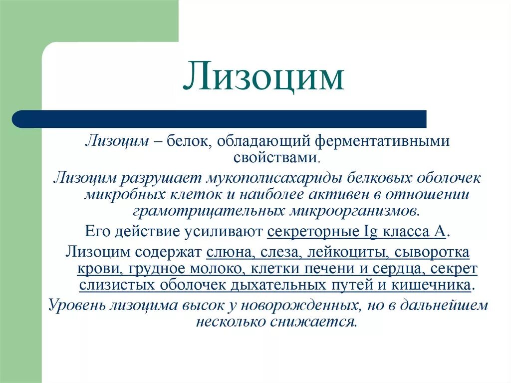 Лизоцим продуцируется. Лизоцим биохимия. Иммунологическая роль лизоцима. Лизоцим функции.