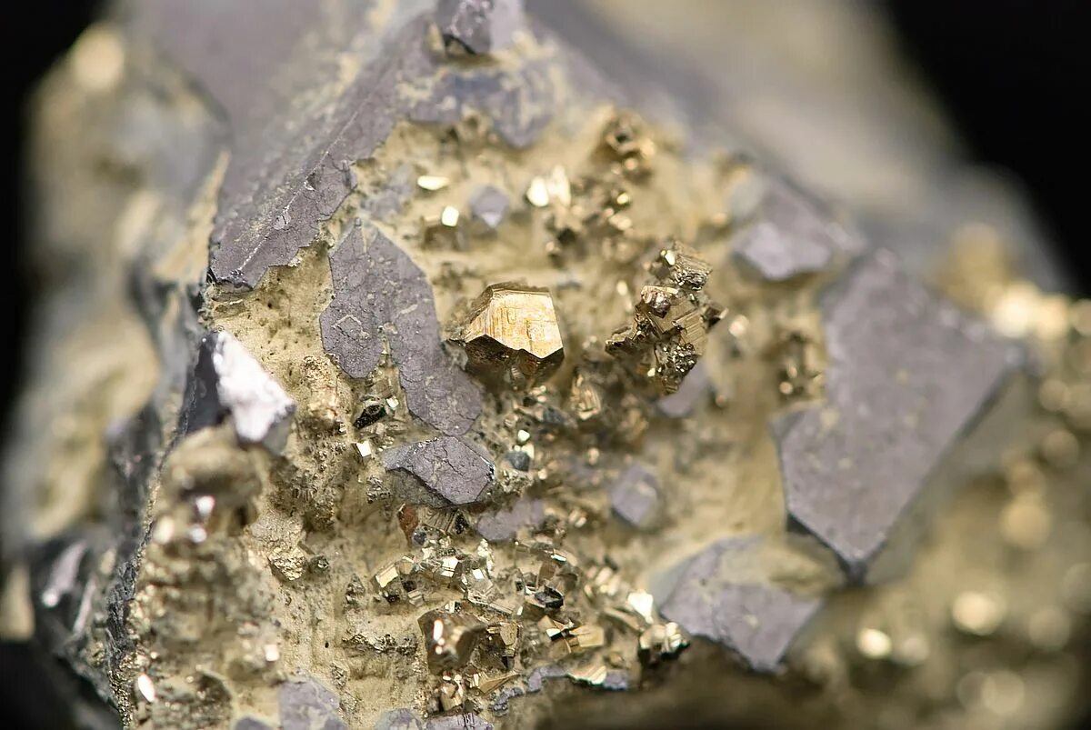 Кутынское месторождение Полиметалл. Золото кварц сульфидная формация. Пирит самородок. Минералы теллуриды золота.