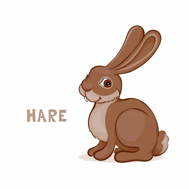 Hare of the cog. Заяц карточка для детей. карточки по английскому hare. заяц карточка на английском. карточка с изображением зайца.