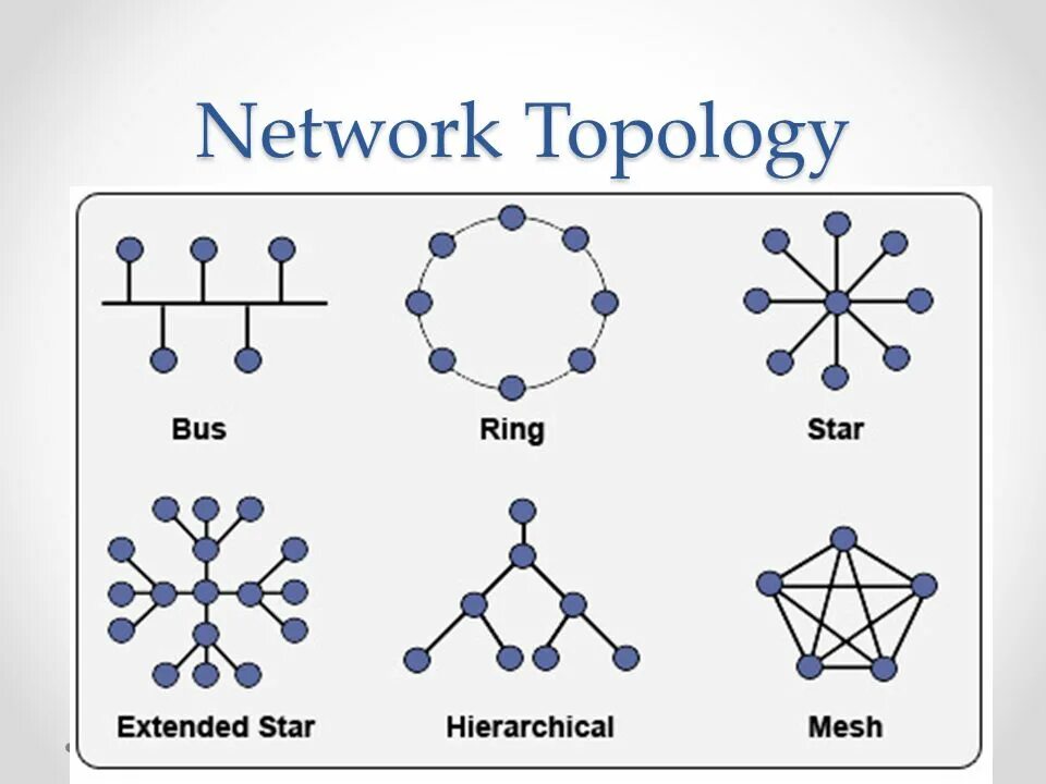 Network selects. Types of network topologies. what is network topology. can топология сети. топологии сети на английском.