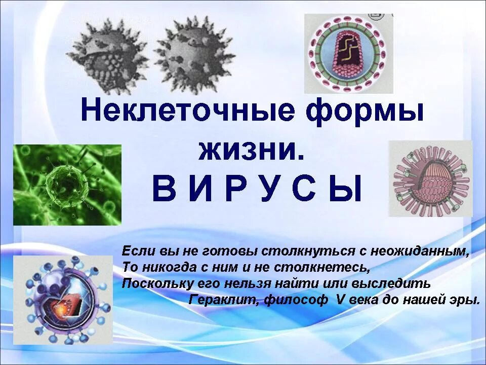 Многообразие вирусов 5 класс презентация. Биология неклеточные формы жизни вирусы. Биология 10 класс,неклеточная форма жизни: вирусы. Вирусы неклеточные формы 10 класс биология. Неклеточные формы жизни вирусы биология 9 класс.