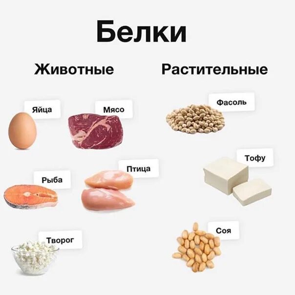 Источник растительного белка таблица. Продукты содержащие белок животного и растительного происхождения. Растительные источники белка список продуктов. Источники белка растительного происхождения.