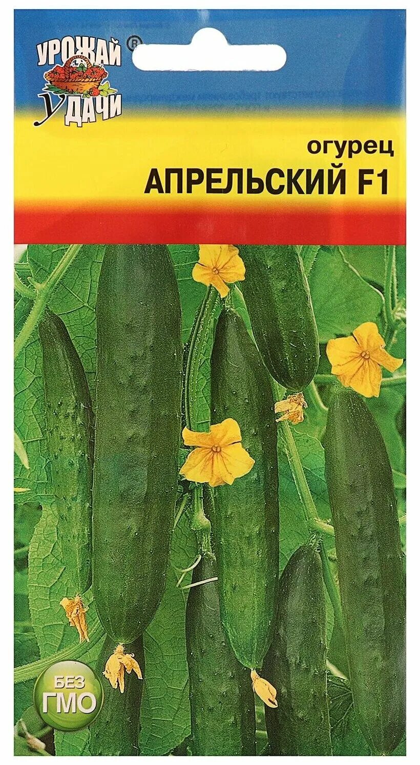 огурец апрельский f1. огурец апрельский f1. сорт огурцов апрельский. огурец апрельский f1 кольчуга. огурец апрельский f1 кольчуга.