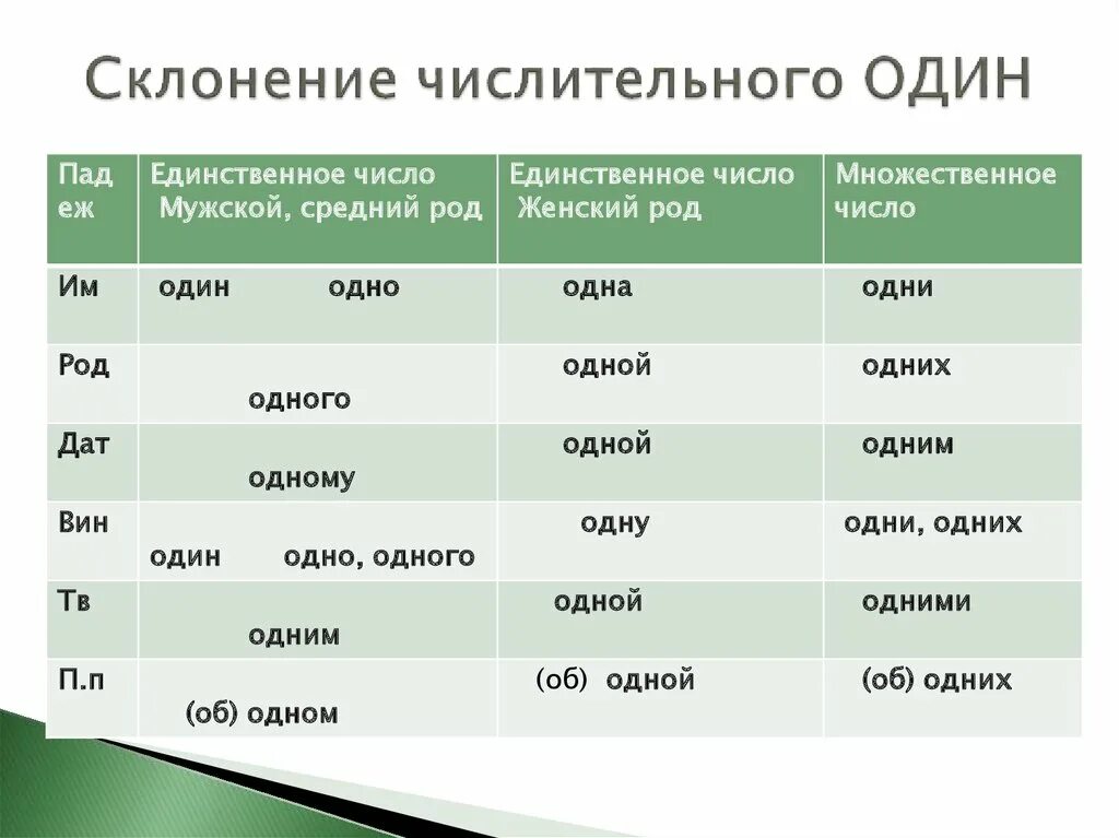 Склонение числительных. Просклонять числительные один. Просклонять по падежам числительное 1. Числительные во множественном числе. Просклонять по падежам 25