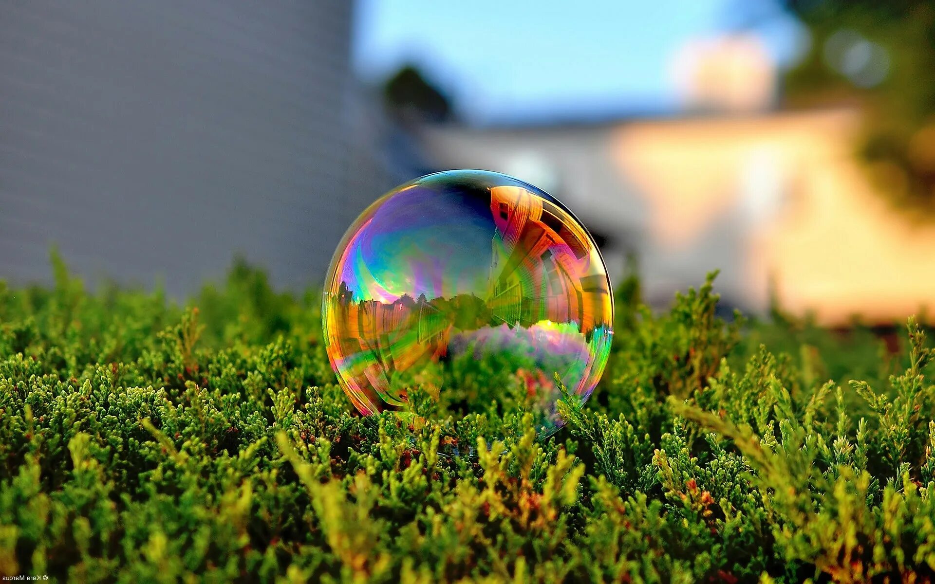 Мыльные пузыри на природе. Красивые мыльные пузыри. Шар в природе. Мыльные пузыри на траве.