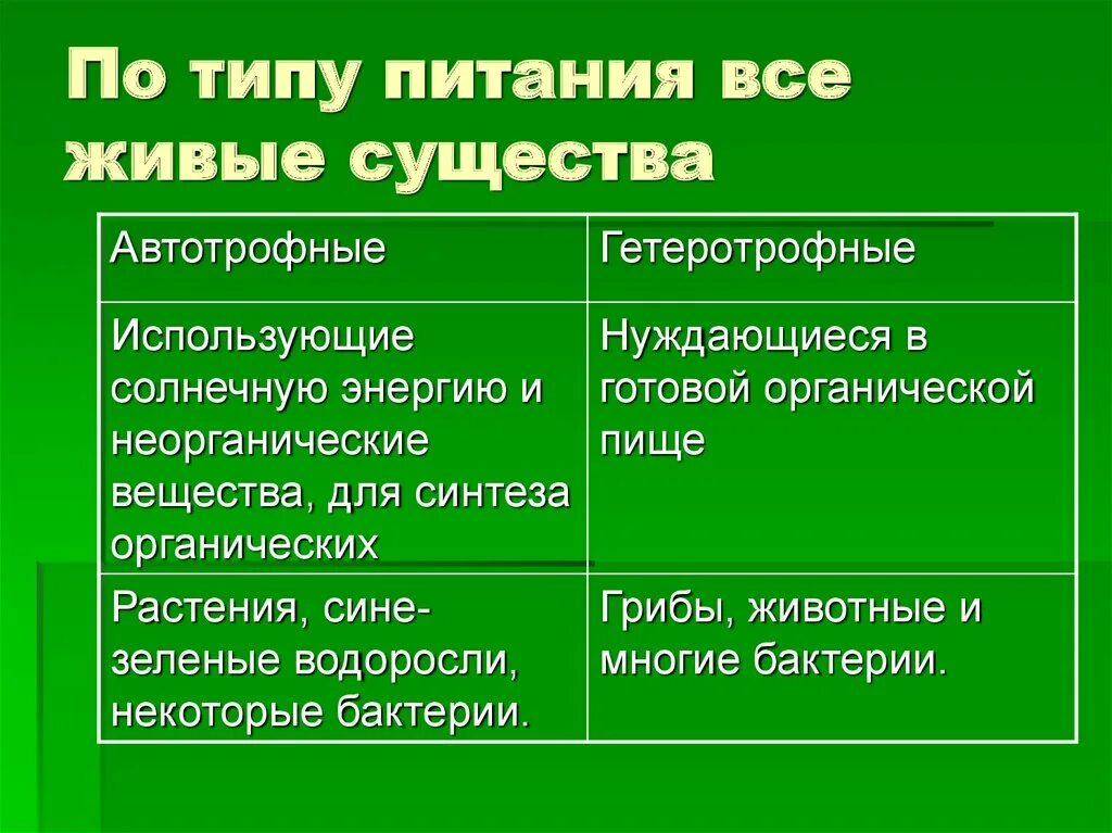 Автотрофный тип питания характерен