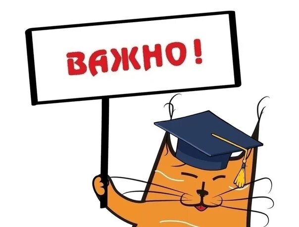 Важная информация и происходит