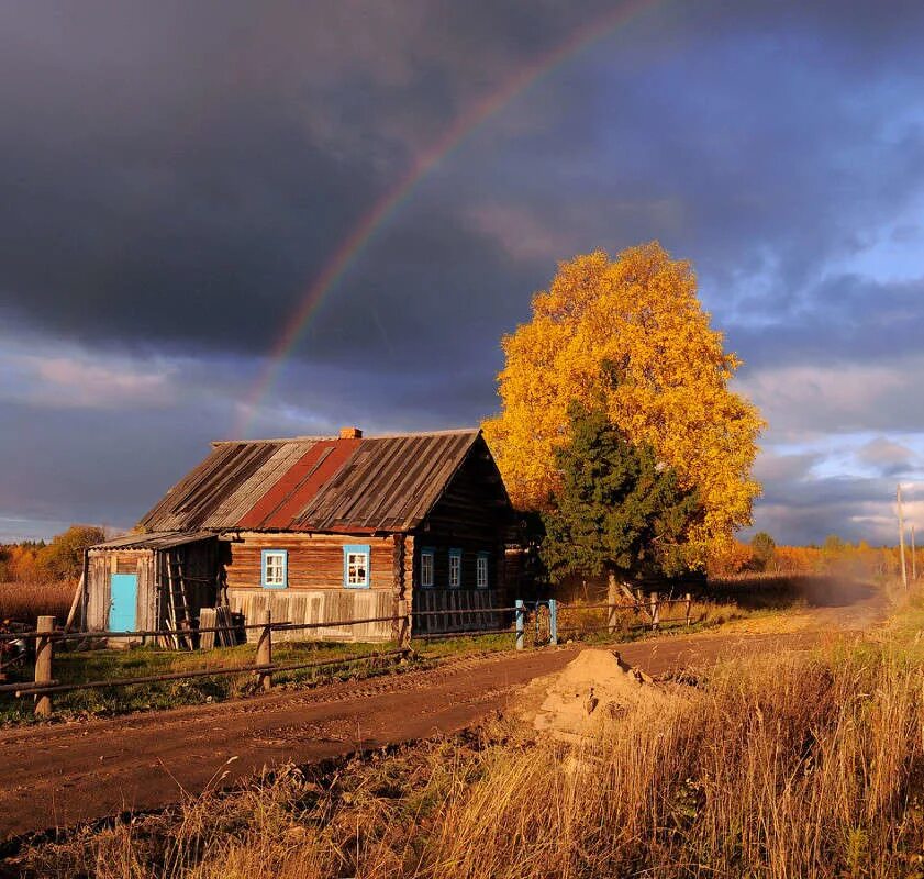 Деревенские пейзажи фото