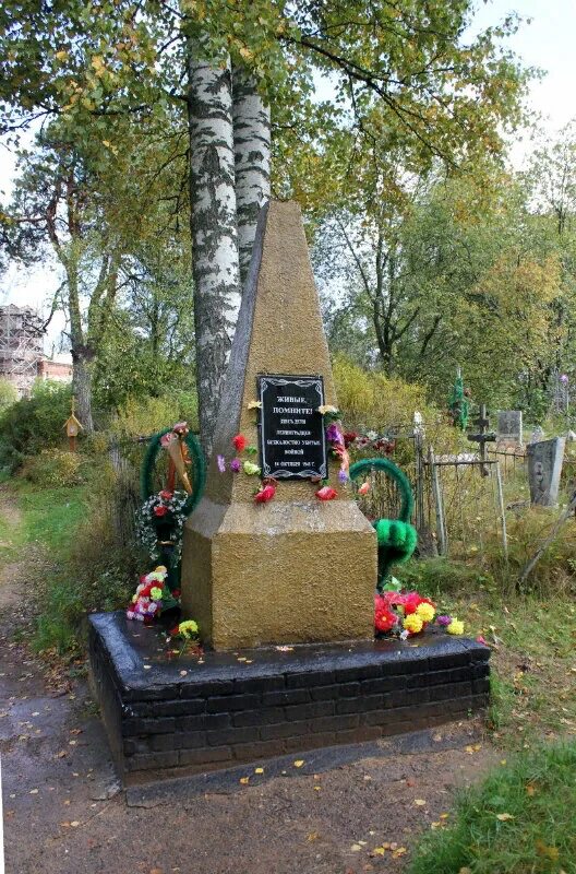 Братское кладбище тихвин. Тихвин николина гора братское захоронение. Мемориальный комплекс братское кладбище тихвин. Тихвин братское кладбище ращупкин. Тихвин захоронения.