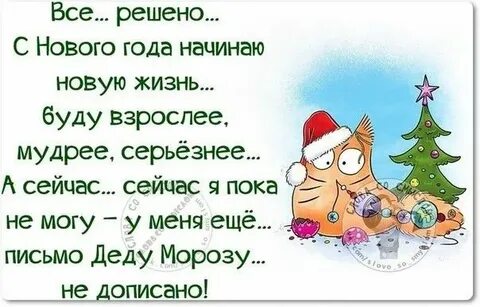Picture background
