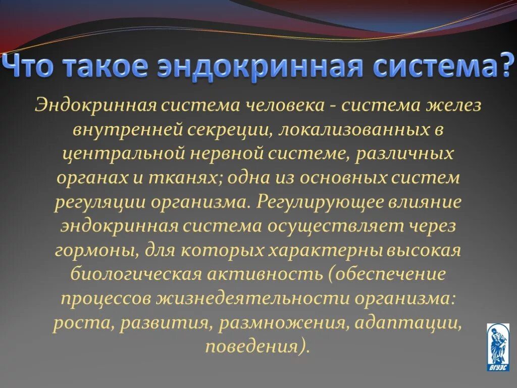 Эндокринная система. Эндокринный. На что влияет эндокринная система.