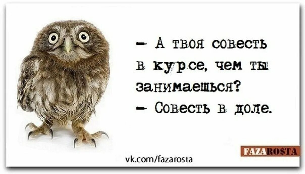 Приходить совесть. Совесть картинки. Смешные высказывания про совесть. Шутки про совесть. Смешные цитаты про совесть.