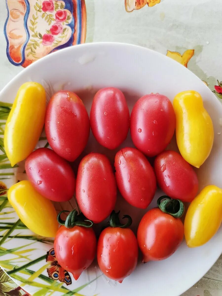 Самый вкусный сорт черри. Томат черри ассорти. помидоры черри ассорти семена. помидора сорт черри бурштин. томат черри оливка.