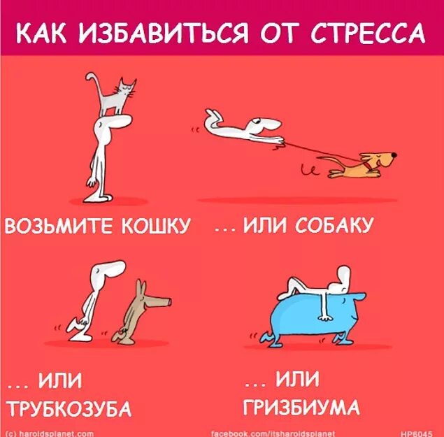 Простые способы избавиться. Как избавиться от стрес. кактизбавится от страссеа. как избавиться от стресса. методики избавления от стресса.