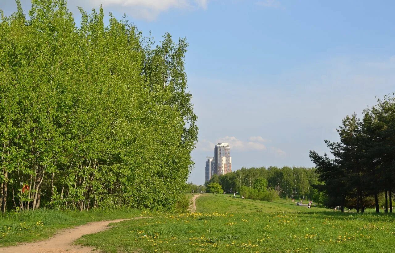 Москворецкий парк в Строгино. Москворецкий парк Кировская Пойма. Москворецкий (природно-исторический парк). Москворецкий парк Крылатское. Природным парком москворецкий