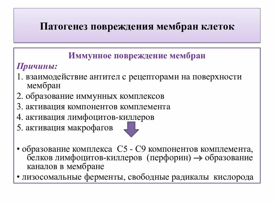 Патогенез повреждения