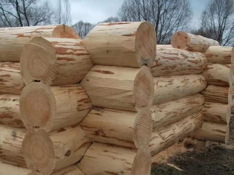 Срубы домов из осины. Срубы домов из осины. Срубы домов из осины. Срубы домов из осины. Баня из осинового сруба.