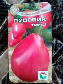 Характеристика томата пудовик