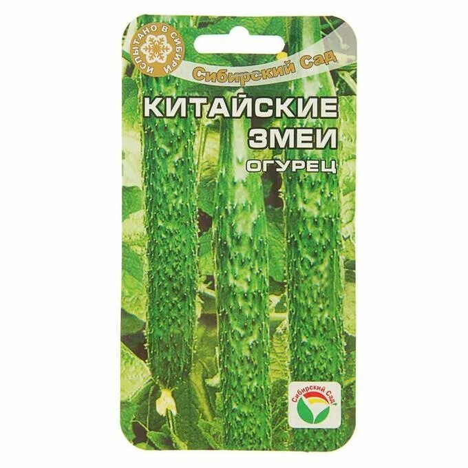 Огурец китайский вкусный. Китайская сабля огурец. Огурец китайский фермерский f1. Огурец китайский холодоустойчивый f1. Огурец китайские змеи сибирский сад.