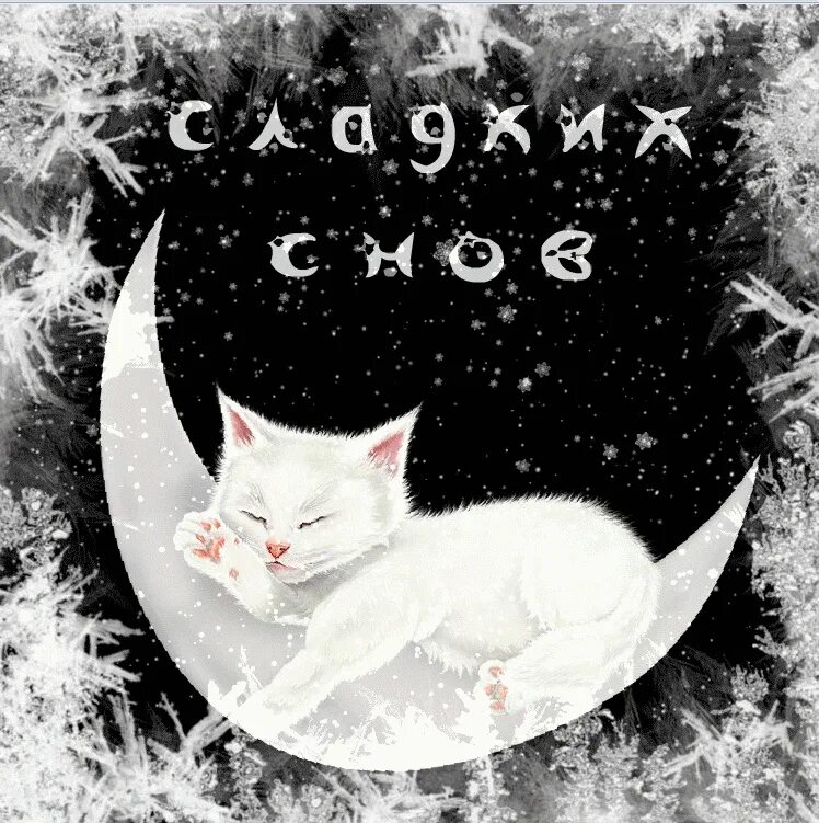 Доброй зимней ночи сладких снов. Доброй ночи сладких снов. сладких снов анимация. спокойной ночи гиф. спокойной ночи сладких снов анимация.