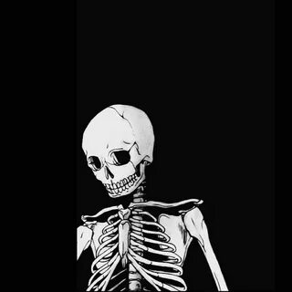 Скелеты смотрят