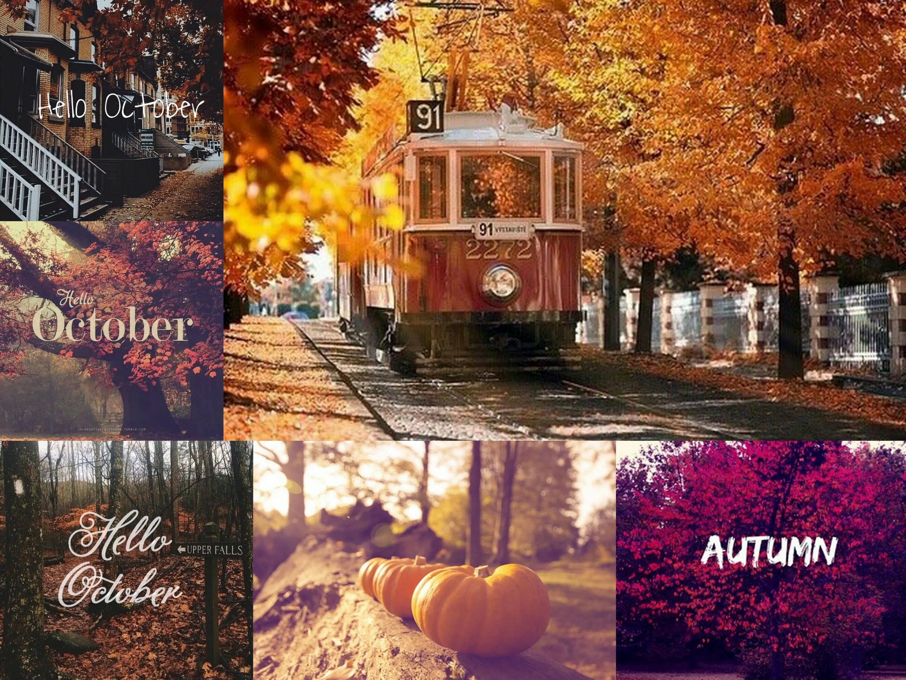 октябрь удивляет