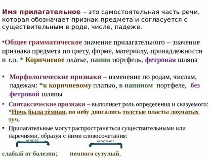 Что такое морфологические признаки прилагательного