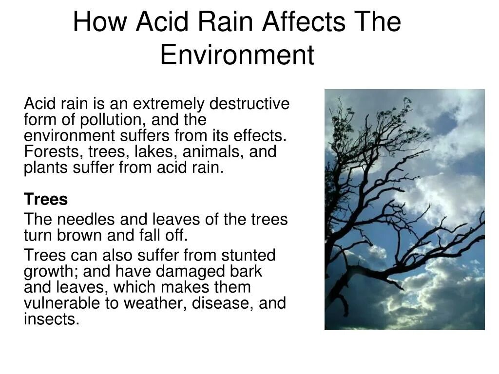 Дождливо перевод на английский. Acid Rain. Acid Rain Effects. Acid Rain 7 класс. Кислотные дожди на английском языке.