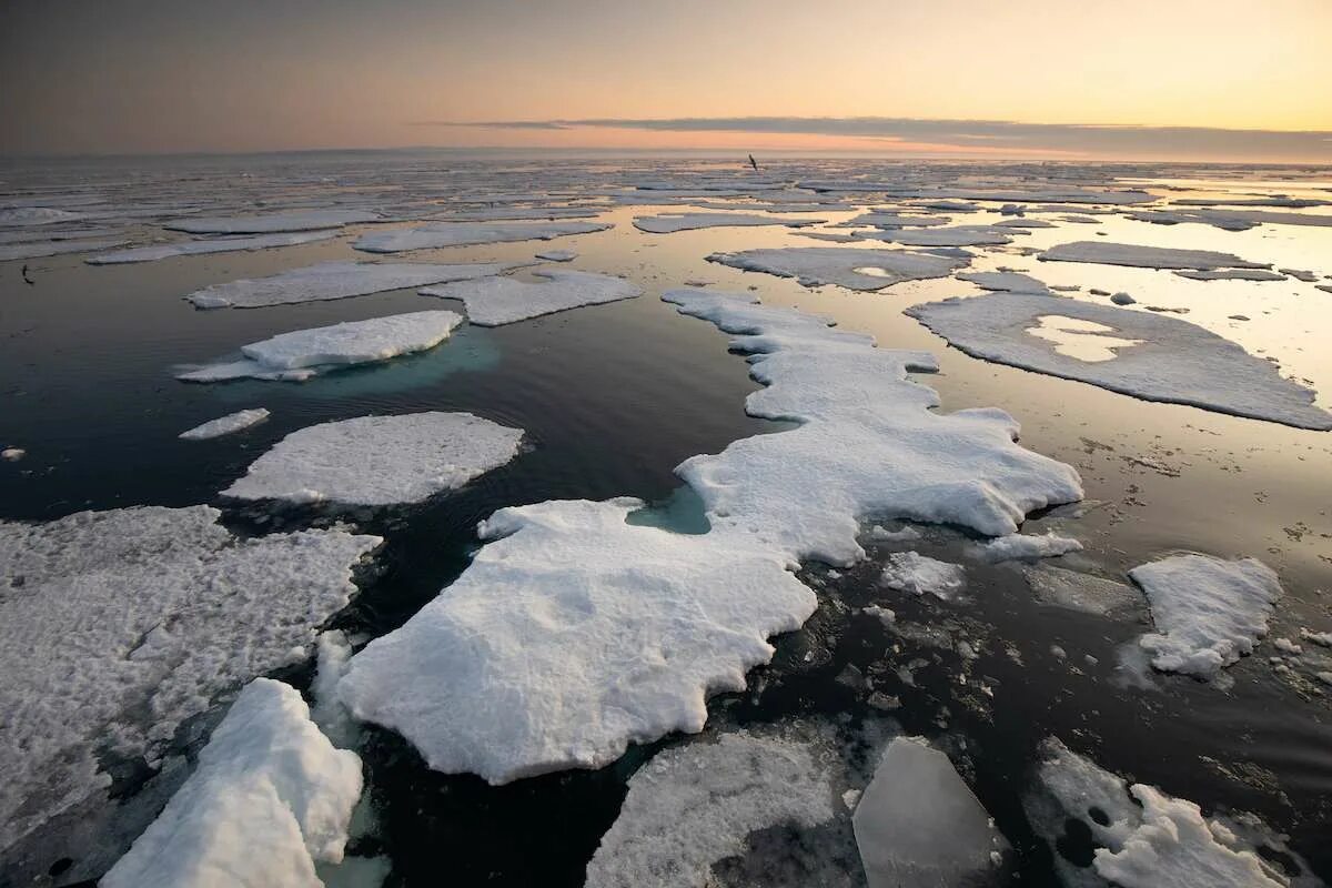 Экологические проблемы северного ледовитого океана. Северный Ледовитый океан паковый лед. Паковый лёд. Паковые льды Арктики. Глобальное потепление озоновые дыры.