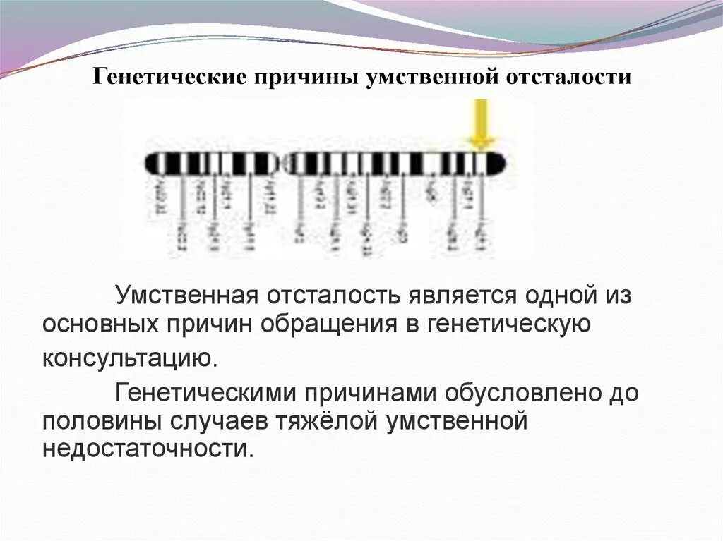 Наследственной умственной отсталости. Причины возникновения умственной отсталости схема. Генетические причины УО. Основные причины возникновения умственной отсталости. Наследственные причины умственной отсталости.