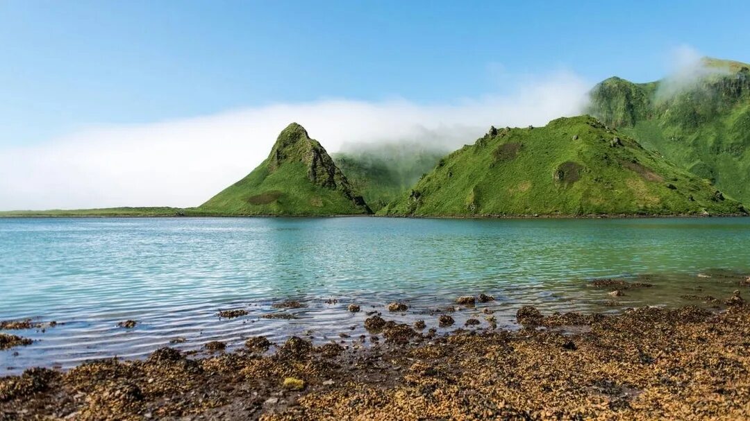 Курильские острова парамушир. Бухта кратерная курильские острова. Курильская земля. Остров итуруп курильские острова. Вулкан креницына, курильские острова.