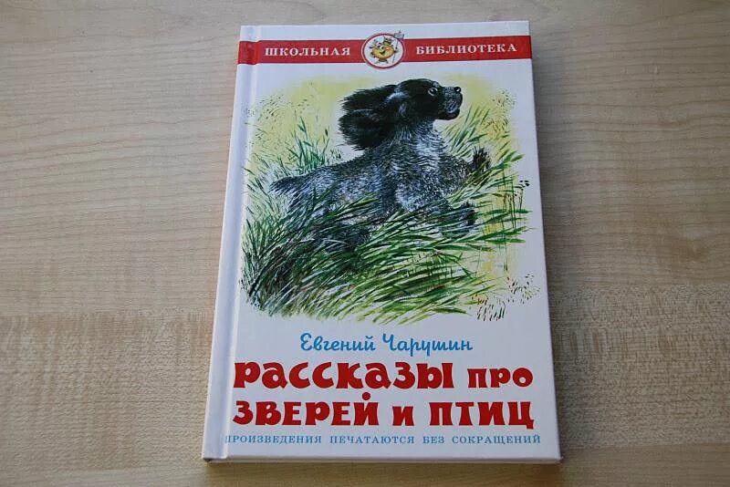 Книга Чарушин рассказы про зверей и птиц. Книги Чарушина о животных. Баронина рассказы про зверей