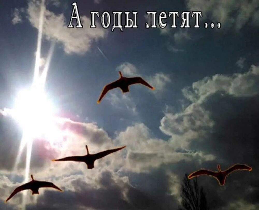 Я без взгляда твоего как птица