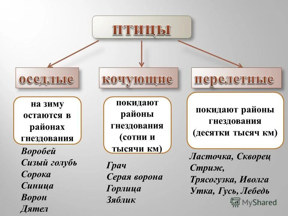 Оседлые это какие