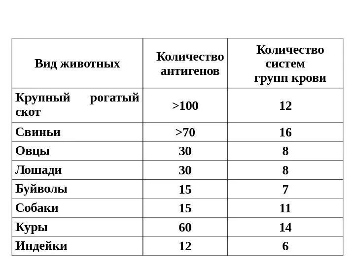 Сколько групп крови у коров. Группы крови у животных. Сколько групп крови у животных. Группы крови скота.