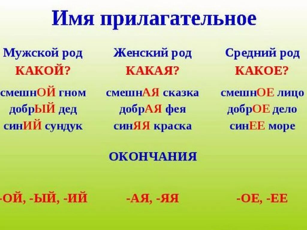 Скольким какой род. Имена прилагательных. Имен прилагательных по родам. Род имен прилагательных. Имя прилагательное слова.