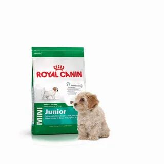 Canin mini