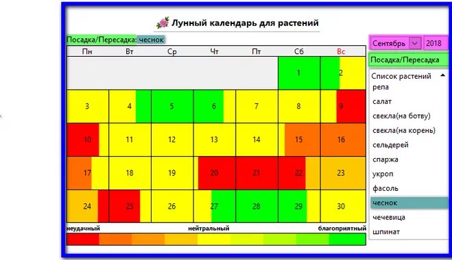 Хорошие дни для посадки чеснока