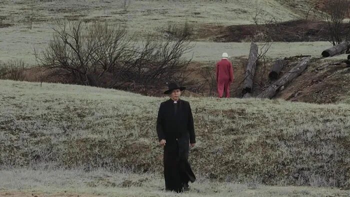 Boreal beauty жимолость. Жимолость куст. Жимолость nimfa. Жимолость ягода. Жимолость куст.