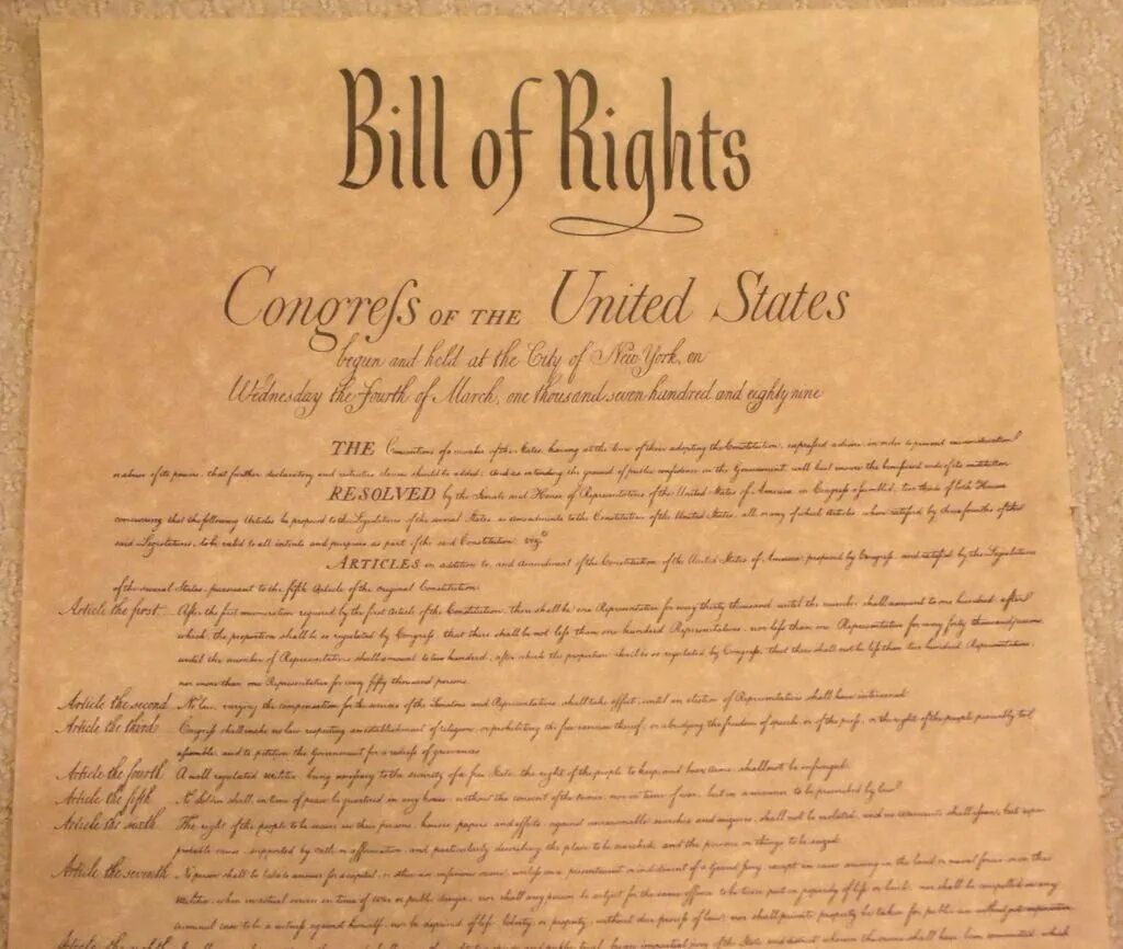 Bill of rights is. Доллар с индейцем. Bill of rights usa. Билль о правах 1791 г в сша. Билль о правах человека 1689.