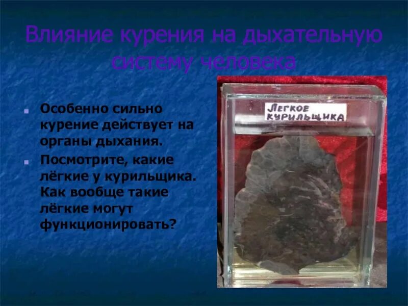 Как курение влияет на дыхательную систему. Влияние курения на дыхательную систему. влияние компонентов табачного дыма на дыхательную систему. легкие сильного курильщика. тип дыхания у курильщика.