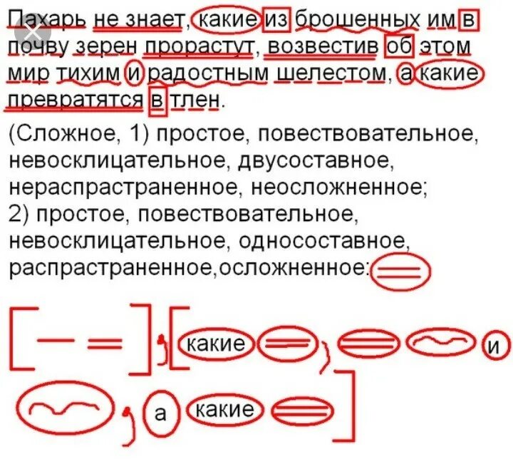 Начальник дозора всю ночь высматривал расположение врагов. Схема синтаксического разбора.схема. Схема синтетический разбор предложения. Как делать схему синтаксического разбора. Синтаксическая схема предложения.