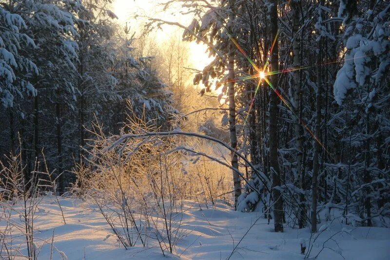 Покрыто снегом. Долгую зиму под. Зимнее морозное утро. Иллюстрация к стихотворению помню долгий зимний вечер. Долгую зиму под.