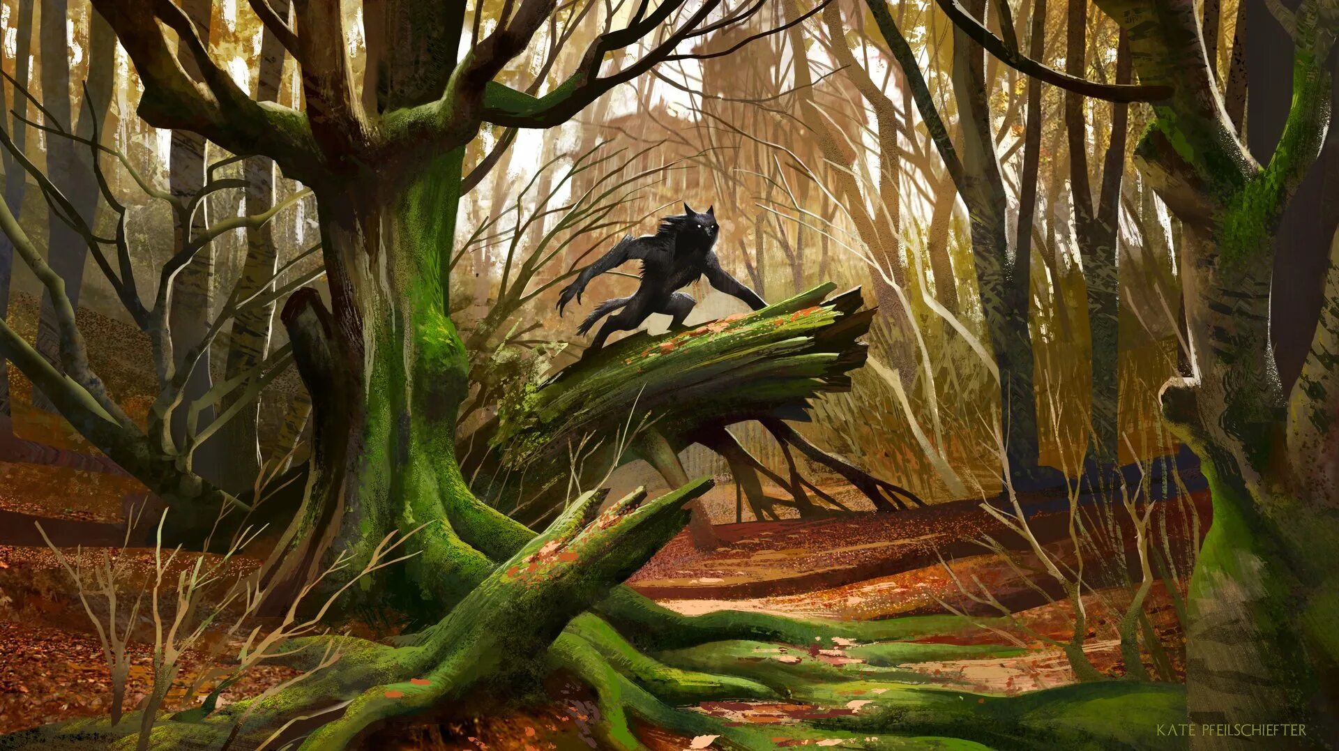 Мрачный лес. Фэнтези лес. Идти дремучем лесом. Темная чаща леса. Идти дремучем лесом.