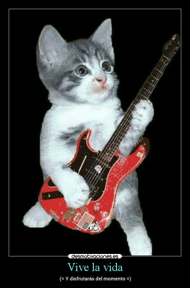крутой кот рокер. кот гитарист. кот гит. десерт котик рокер. котенок с электрогитарой.
