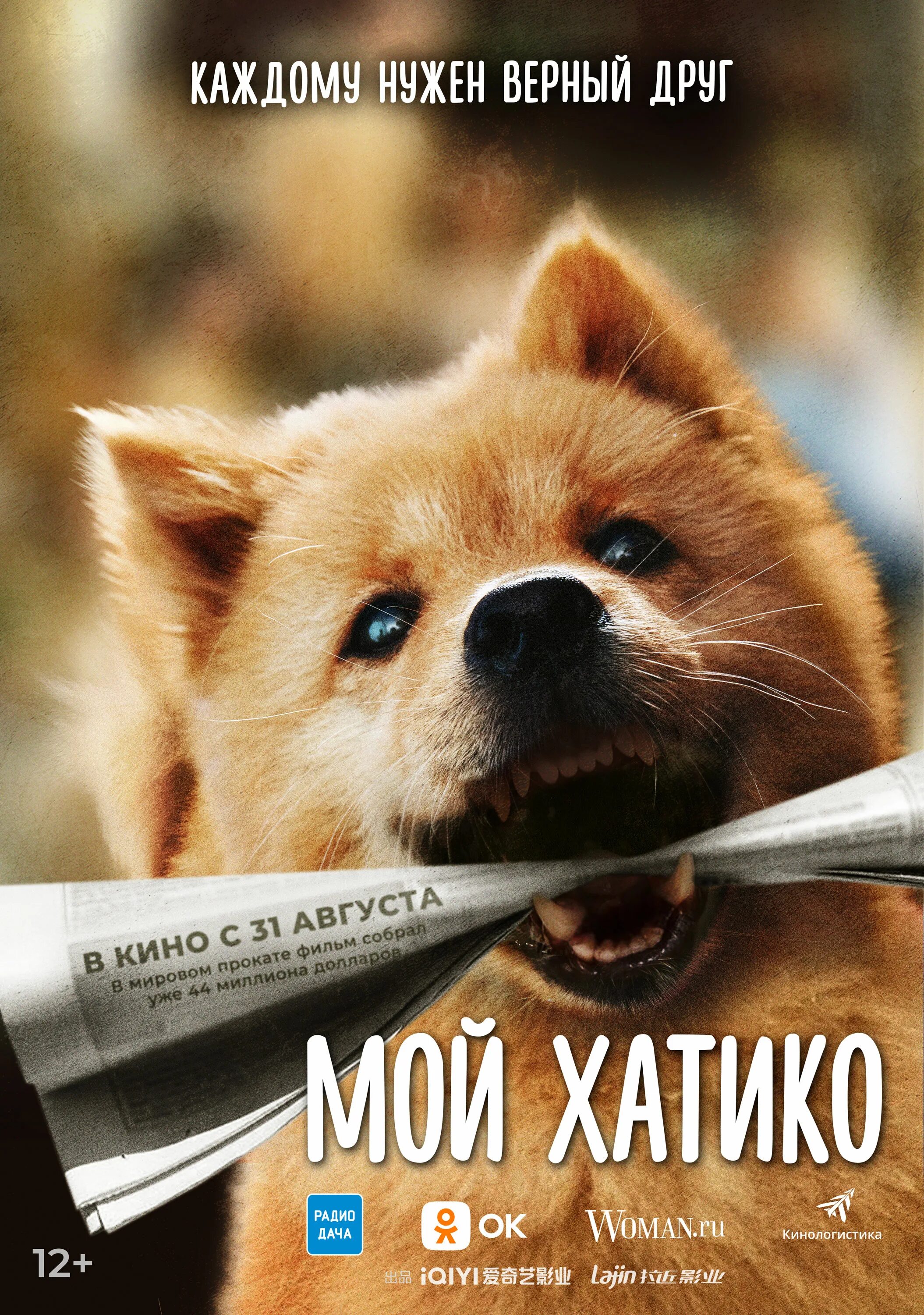 Хатико смартфоны. Хатико. мой хатико 2025. хатико постер.